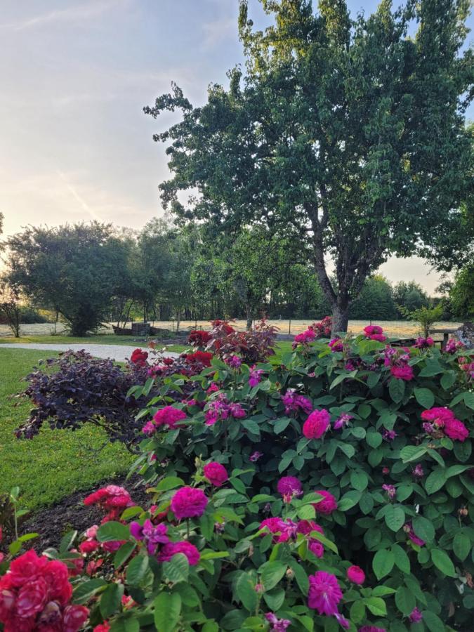 L'Atelier 7 Bed & Breakfast Saintes Dış mekan fotoğraf